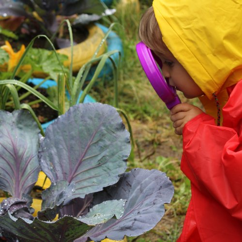 progettinfanzia bassa reggiana, bambini